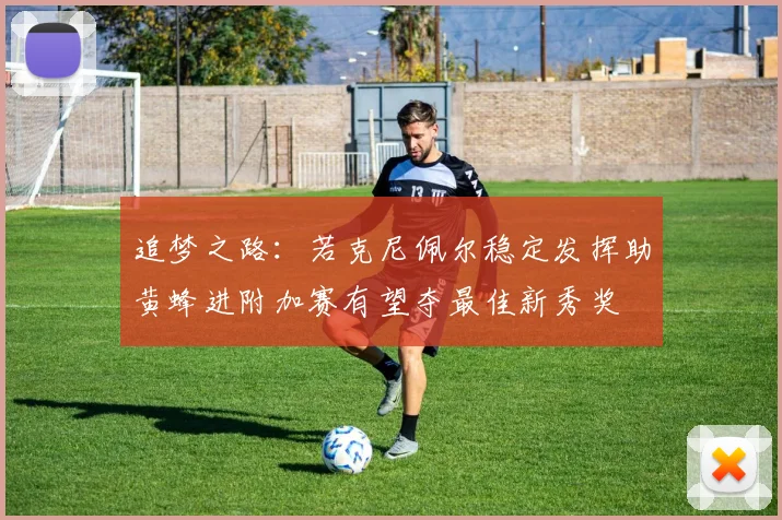 追梦之路：若克尼佩尔稳定发挥助黄蜂进附加赛有望夺最佳新秀奖